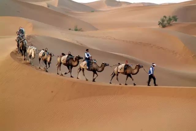 讲好黄河故事传承河洛文化,讲好黄河故事传承黄河文化内容