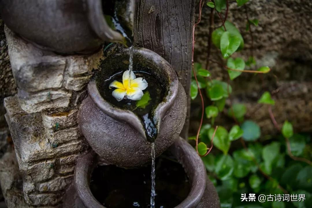 18句令人惊艳诗词,那些被误解的诗词你还知道多少