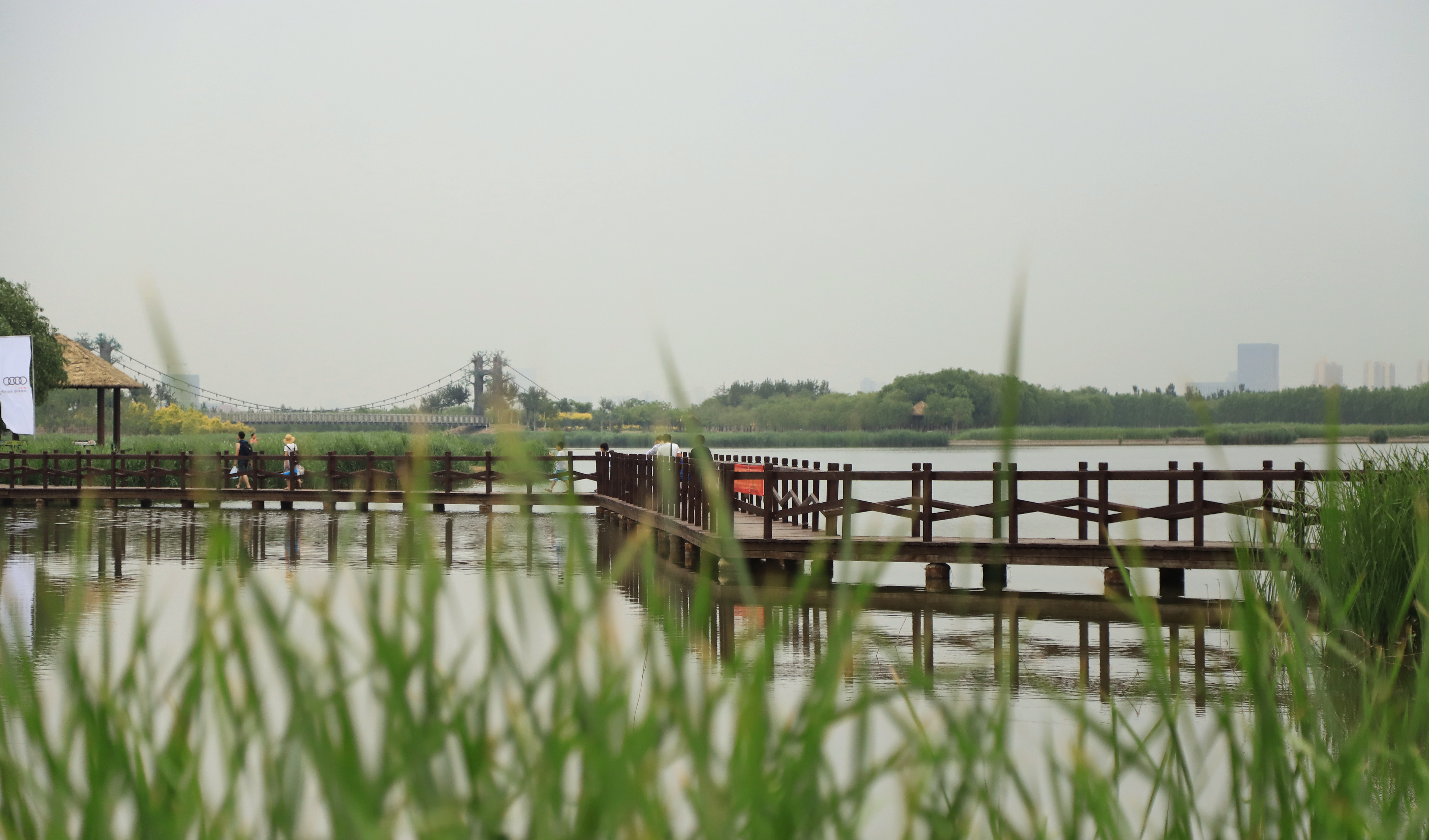 秋高气爽公园散步随拍,深秋天津的郊野公园