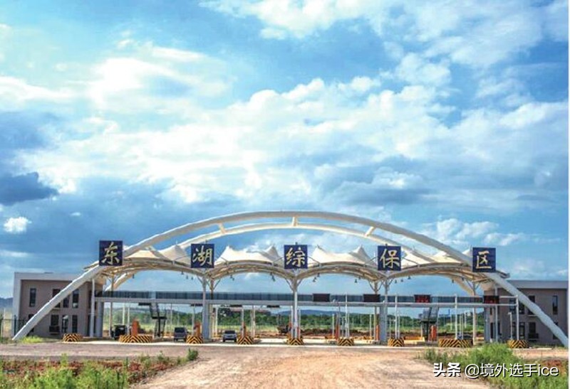 免税保税什么意思,保税免税一般贸易