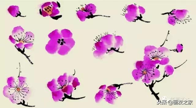 董寿平国画梅花老树干的画法,国画梅花花瓣的画法视频教程