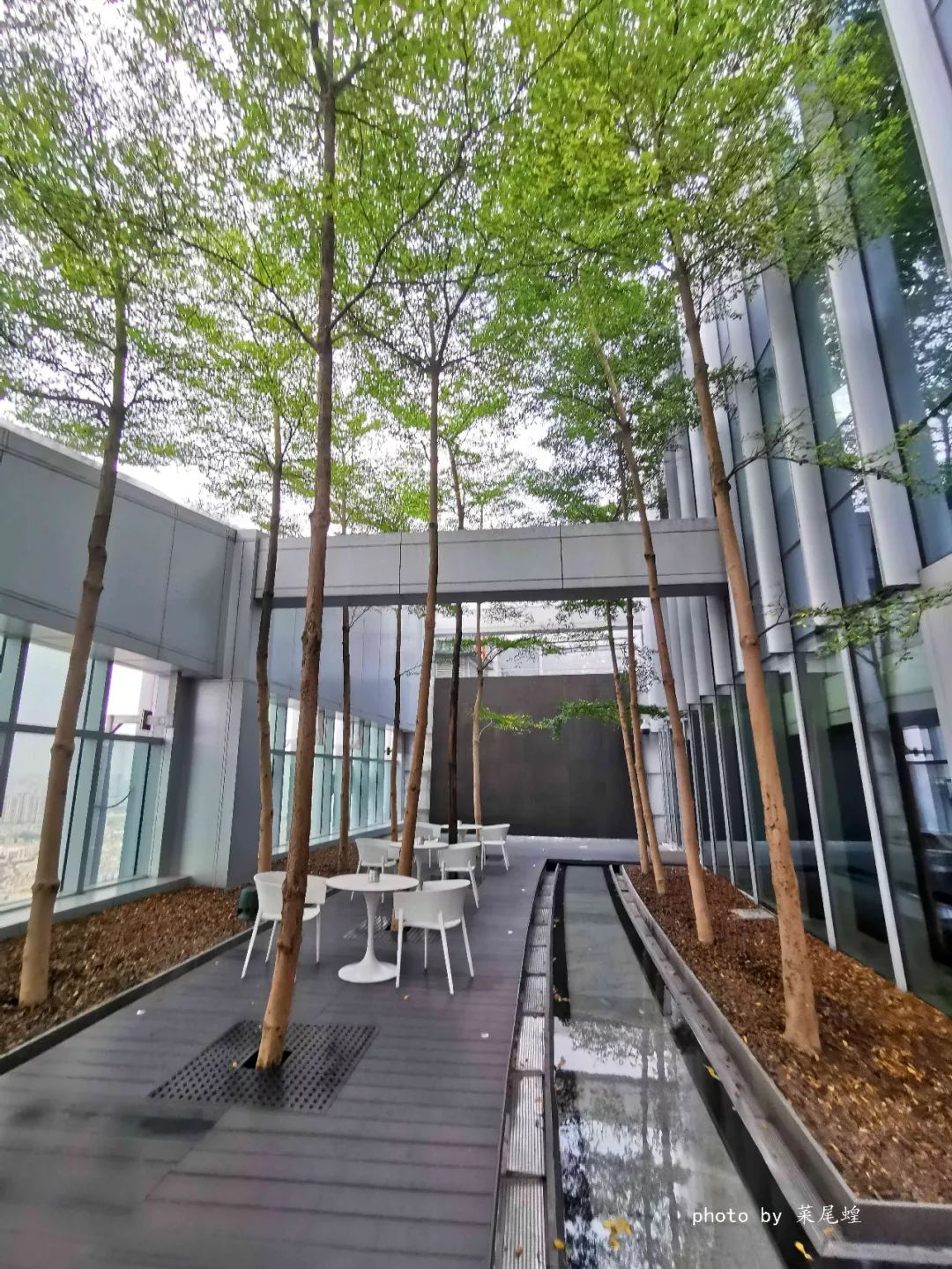 去佛山玩住哪个区,去佛山罗浮宫买家具攻略