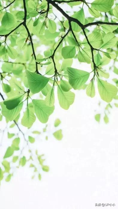 生活状态怎么发朋友圈,记录生活的人都是怎么发朋友圈