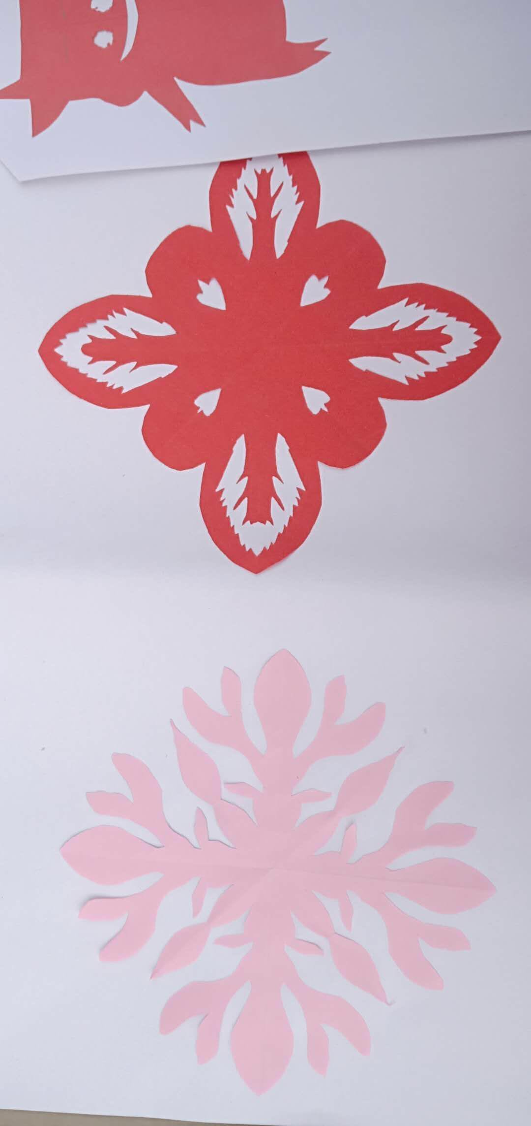 超生的孩子能读公办小学吗,乡村小学与城市小学区别