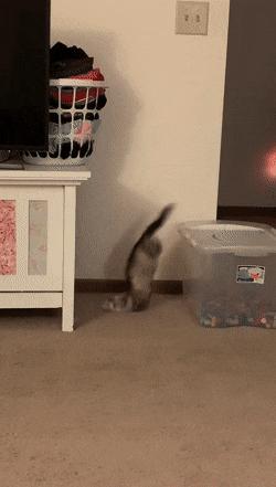 搞笑gif开心一刻原来高手在民间,搞笑gif开心一刻我受了太多的委屈