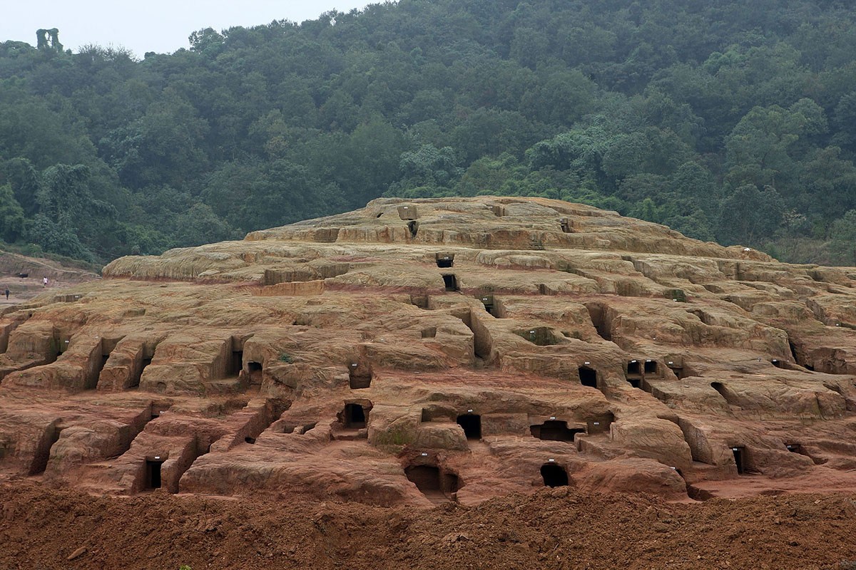 人死火化是浪费资源？动物死了进入生态循环，人类却打破自然规律
