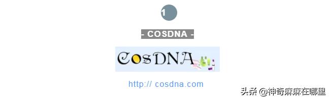 美妆护肤推荐哪个app,超实用护肤app