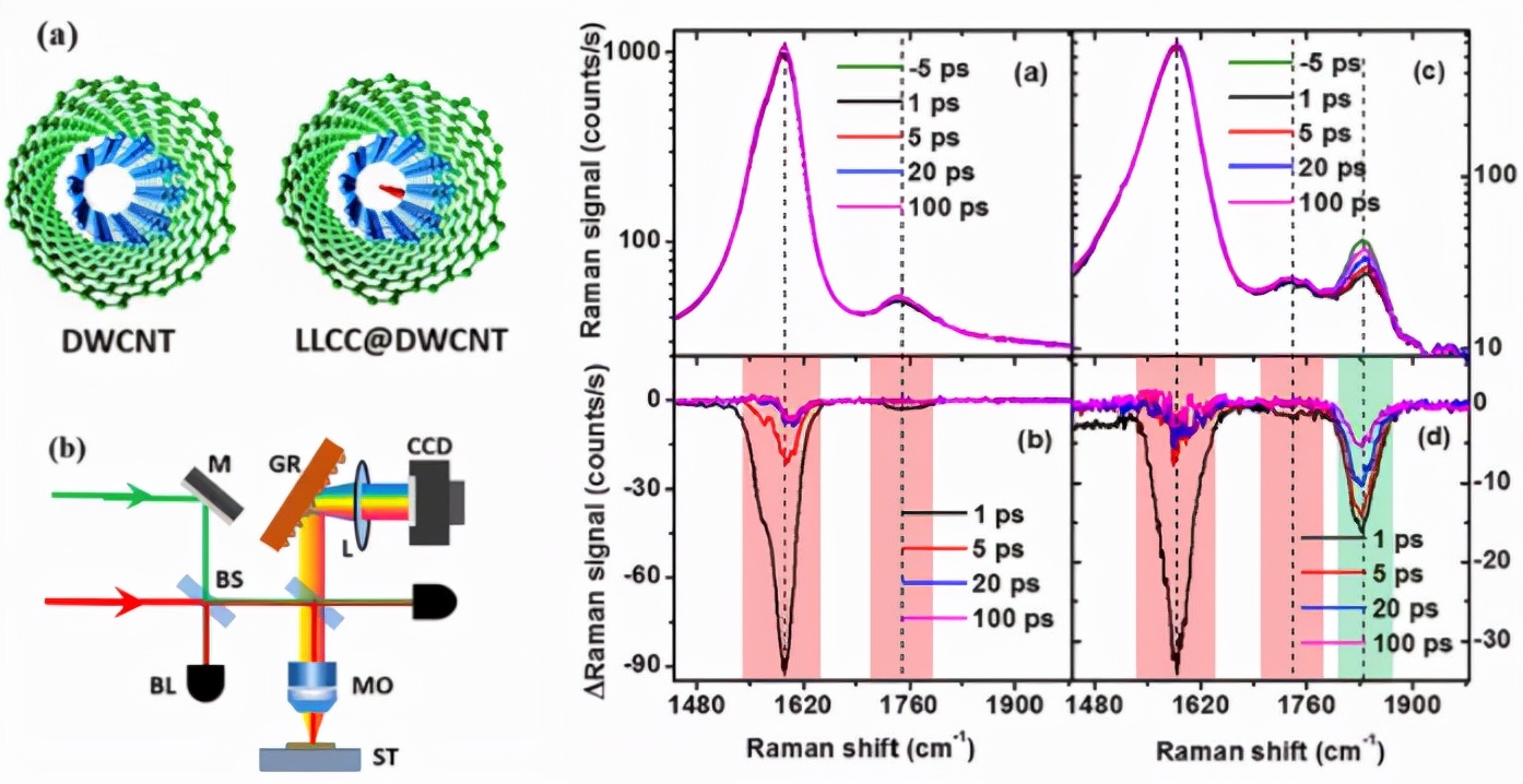 中山大学石磊副教授在一维碳纳米材料研究中取得系列重要进展
