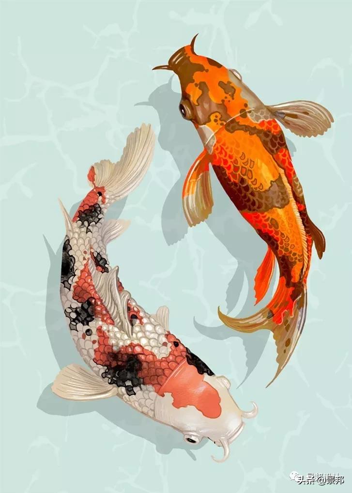 锦鲤鱼池及生化过滤系统多少钱,锦鲤鱼池用什么过滤最好呢