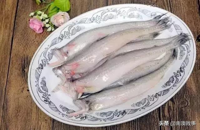 南澳渔民捕鱼视频,南澳渔民出海