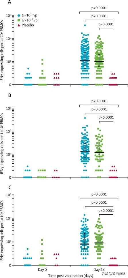 中国新冠疫苗的最新情况,中国新冠灭活疫苗二期临床