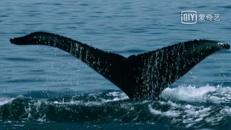 9部日本治愈系纯爱电影推荐,一部让你感动落泪的纯爱电影