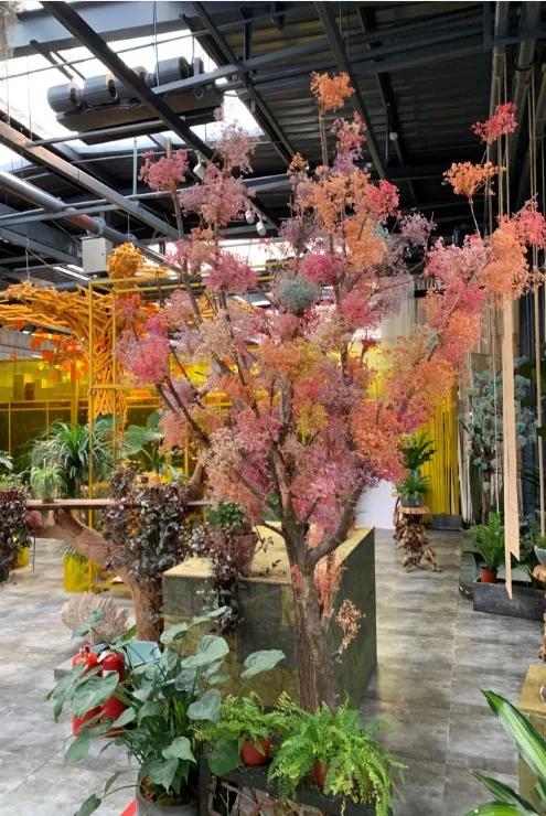 小编整理！丰台四大花市逛买攻略！春节就要这喜庆劲儿