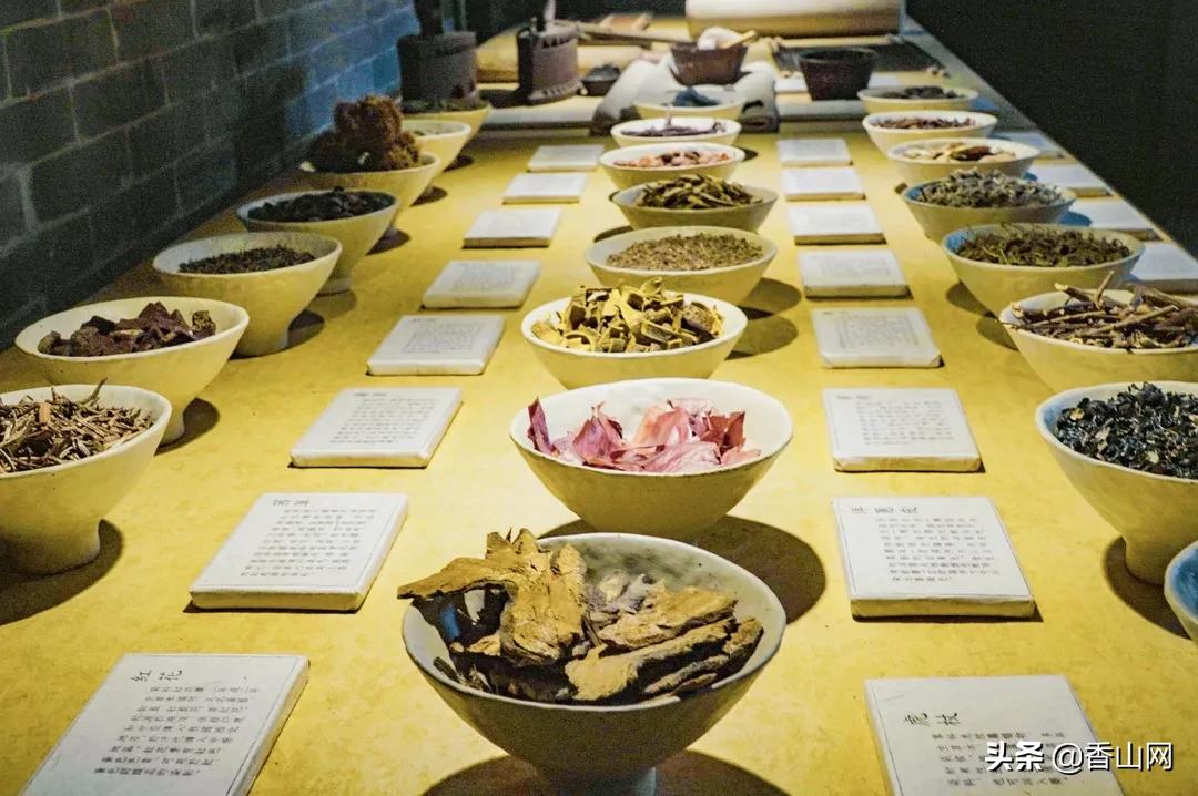 珠海鲜为人知的一面,珠海有名的花园