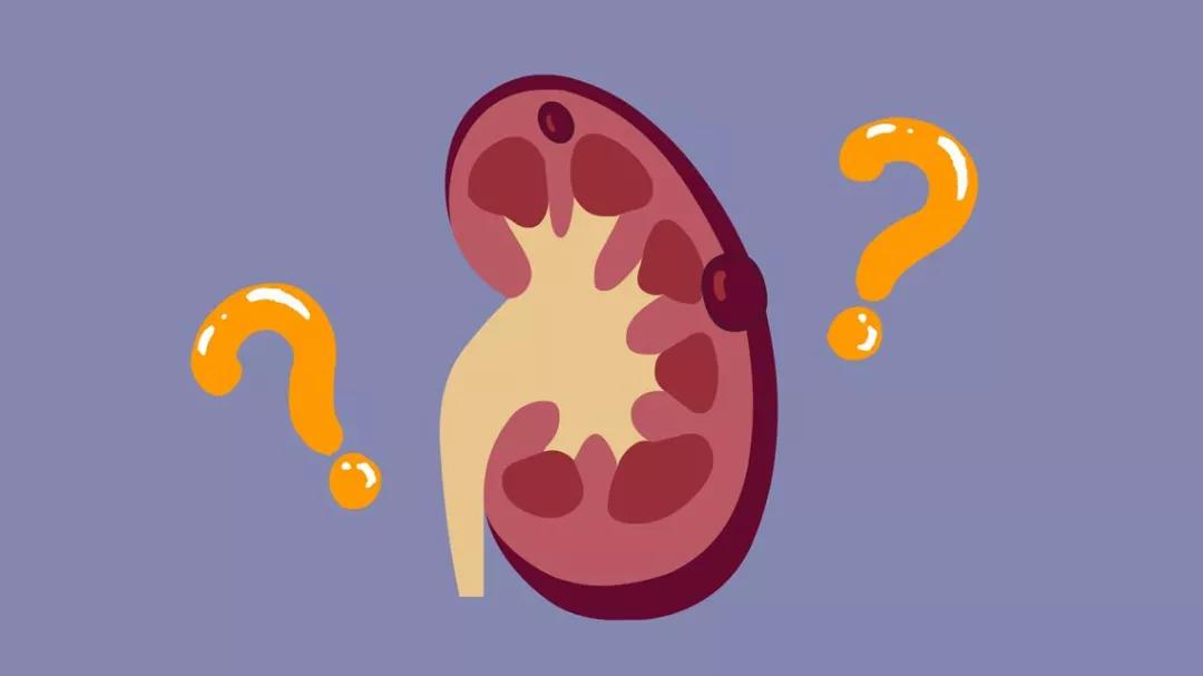 息肉囊肿结节和肌瘤的区别,结节息肉囊肿哪个容易癌变