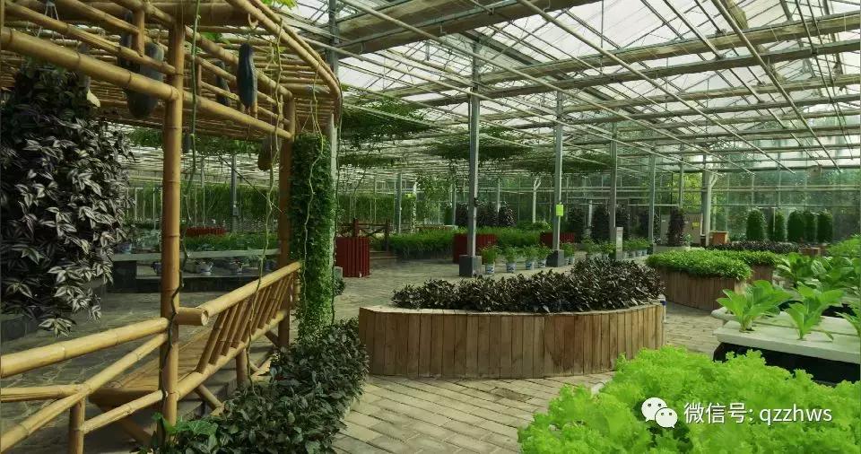 个体农户种大棚能拿补贴吗,农村养殖大棚如何申请补贴