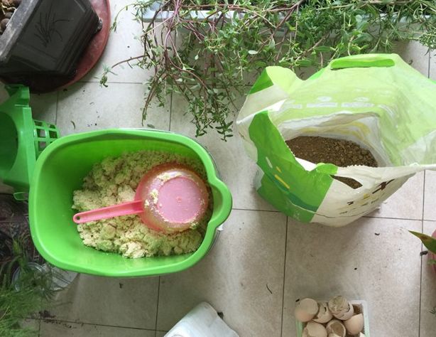 这6种碎渣渣，养花当土又当肥，比激素还有劲儿