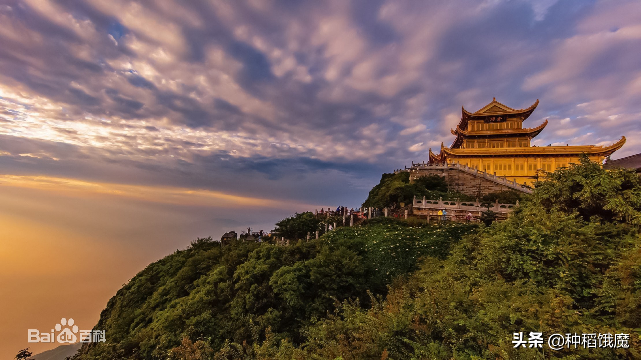 海棠香国景区,海棠香国到底在哪