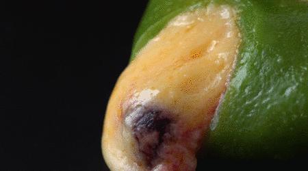 成都人气最旺的网红店,成都网红老店排行榜