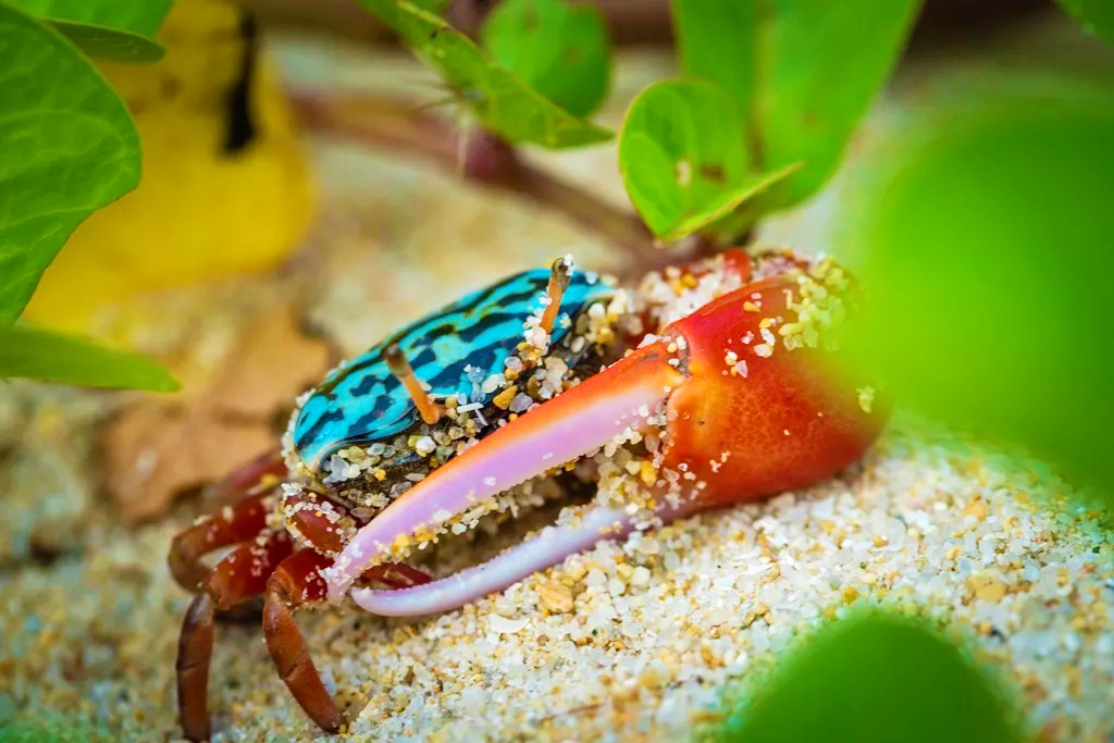 三亚亚龙湾奢华度假酒店,三亚亚龙湾性价比最高亲子酒店