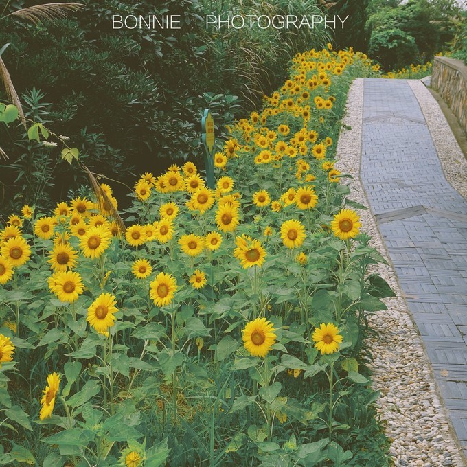 嵊泗列岛五天四夜旅游攻略,4月初嵊泗列岛2天一晚旅游攻略