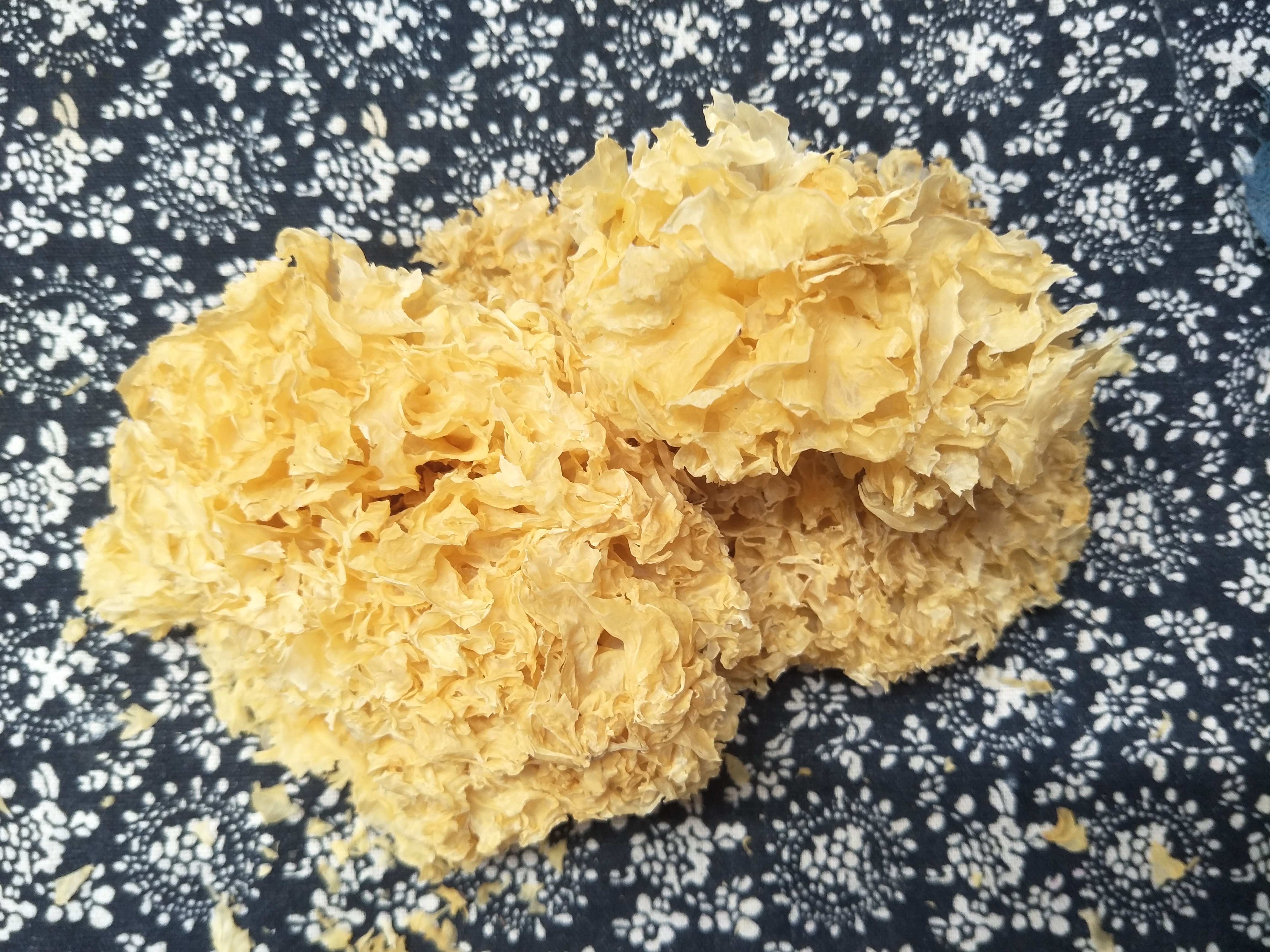 如何挑选银耳的正确方法,买银耳要买哪一种银耳容易出胶