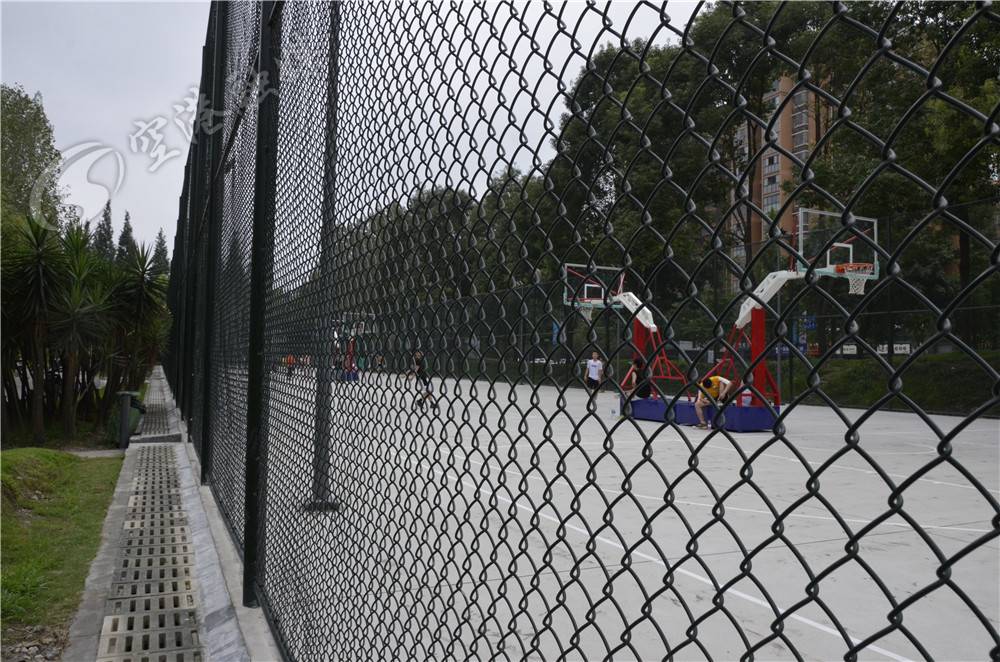 双流新修的公园,双流2022年改造公园