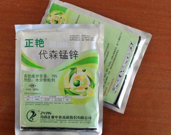 月季霜霉病和灰霉病的区别,月季灰霉病的最佳防治方法