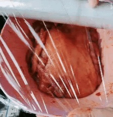 奥尔良炸鸡排家庭做法视频教程,自制炸鸡排奥尔良