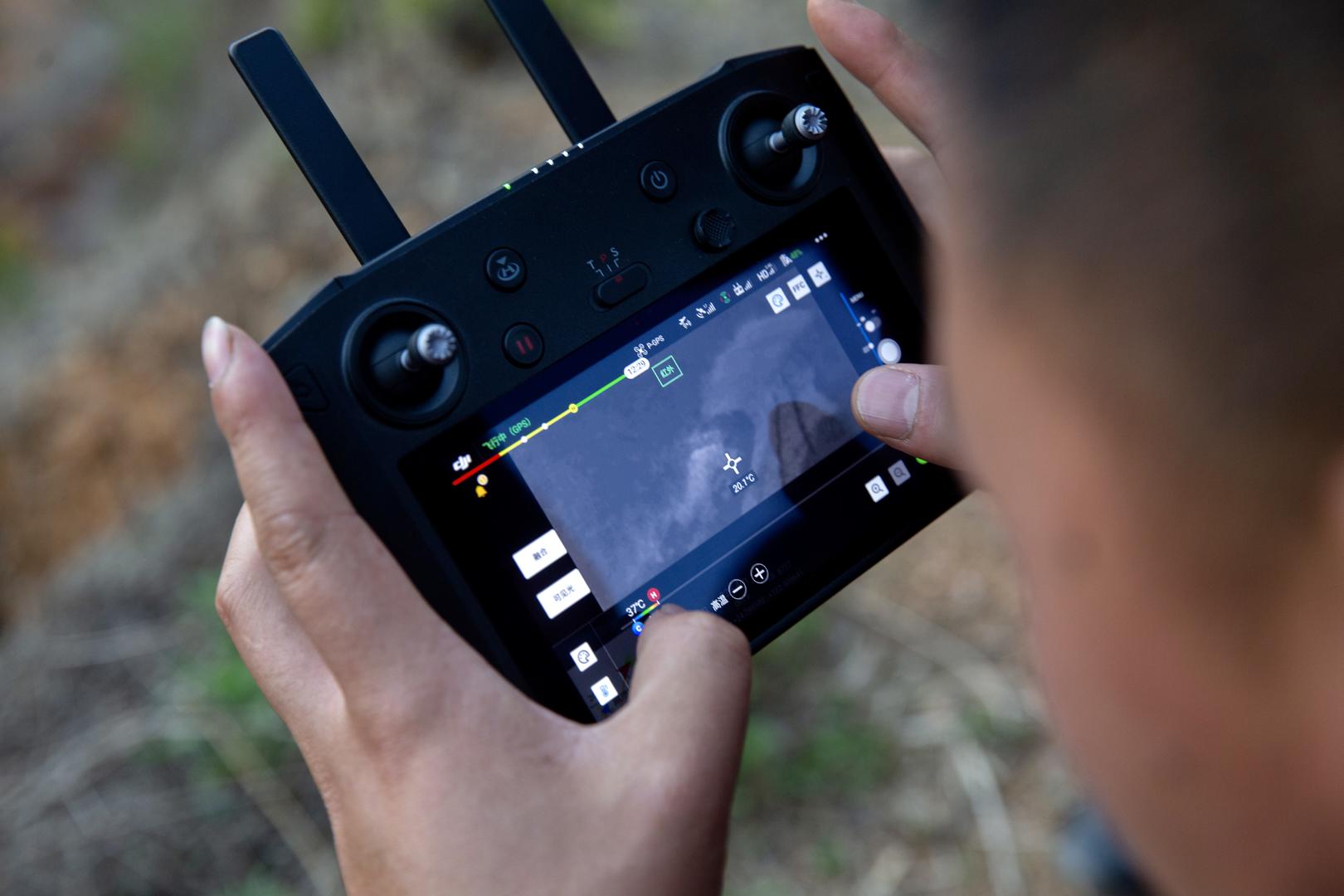 专访：亚洲象北上是整体趋势，长期投喂香蕉、菠萝、玉米等高糖、高热量食物，可能导致野象得高血压、糖尿病