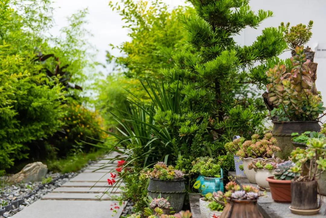 他建了一个3000㎡的浪漫花园，情侣不远千里只为一场草坪婚礼