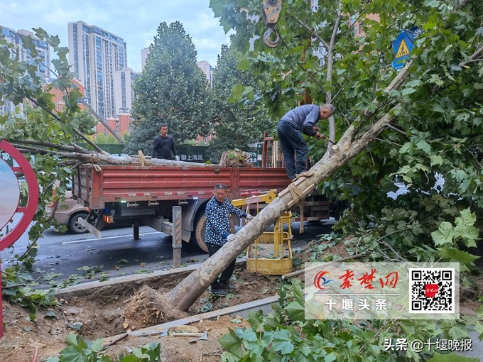 十堰市新增过街天桥,十堰拟建一座人行天桥