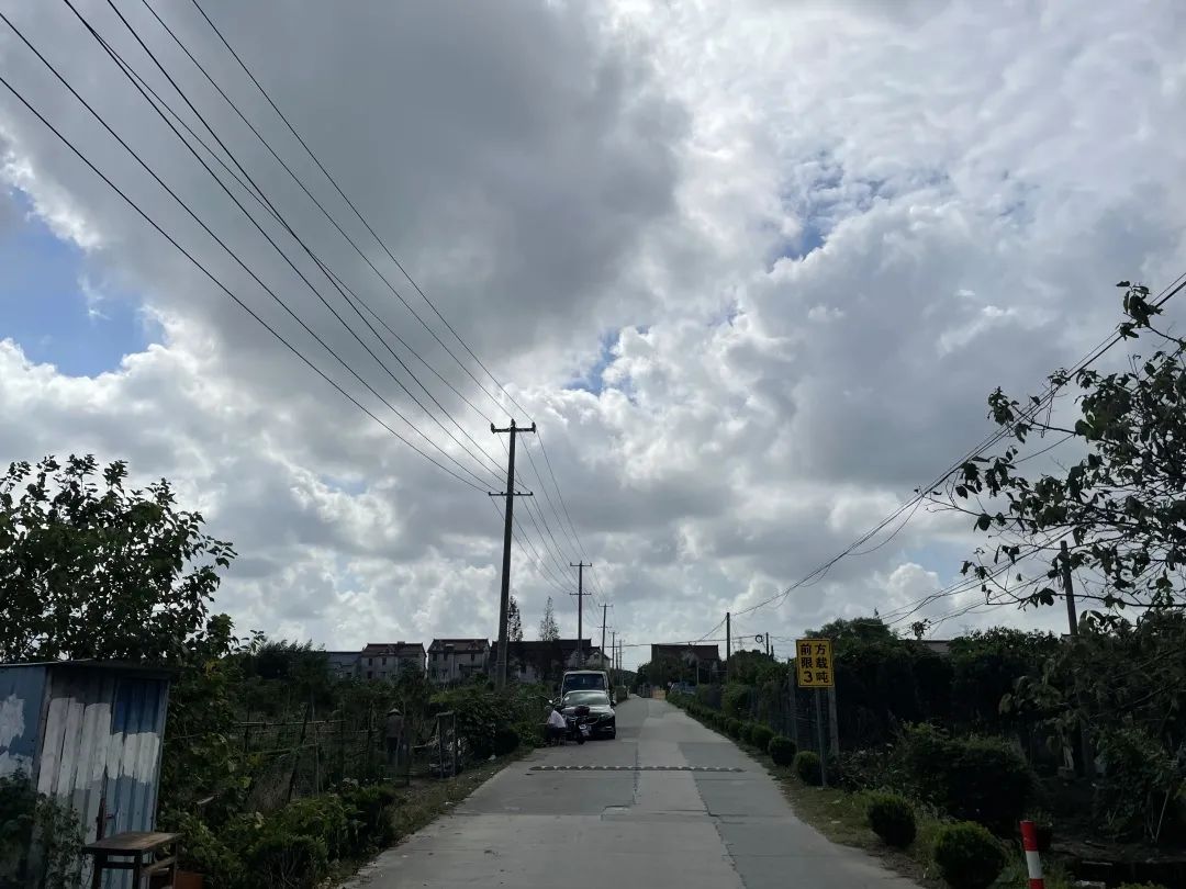 浦东川沙高架规划,浦东新区川沙城东发展趋势