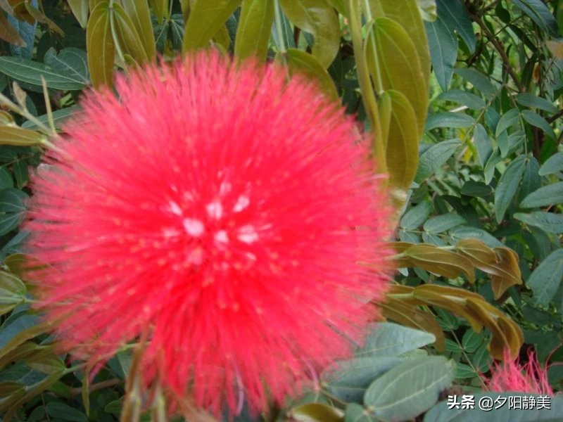 我的海南之旅全集,海南天赐上湾怎么样