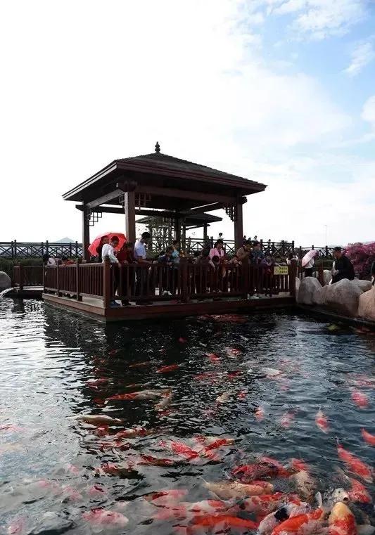 东南花都花博园景观,东南花都花博园