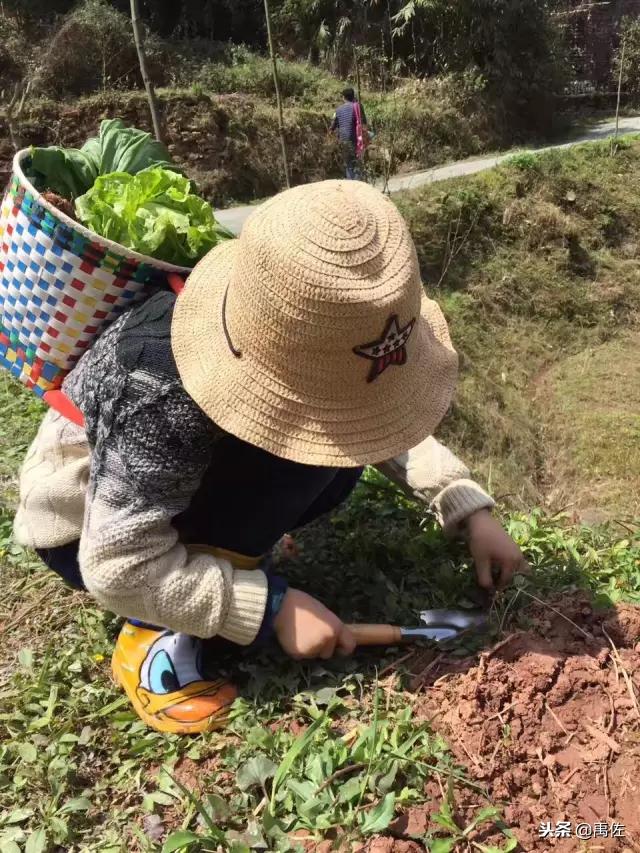 重庆亲子自驾游路线,重庆周边自驾亲子游3-4天最佳路线