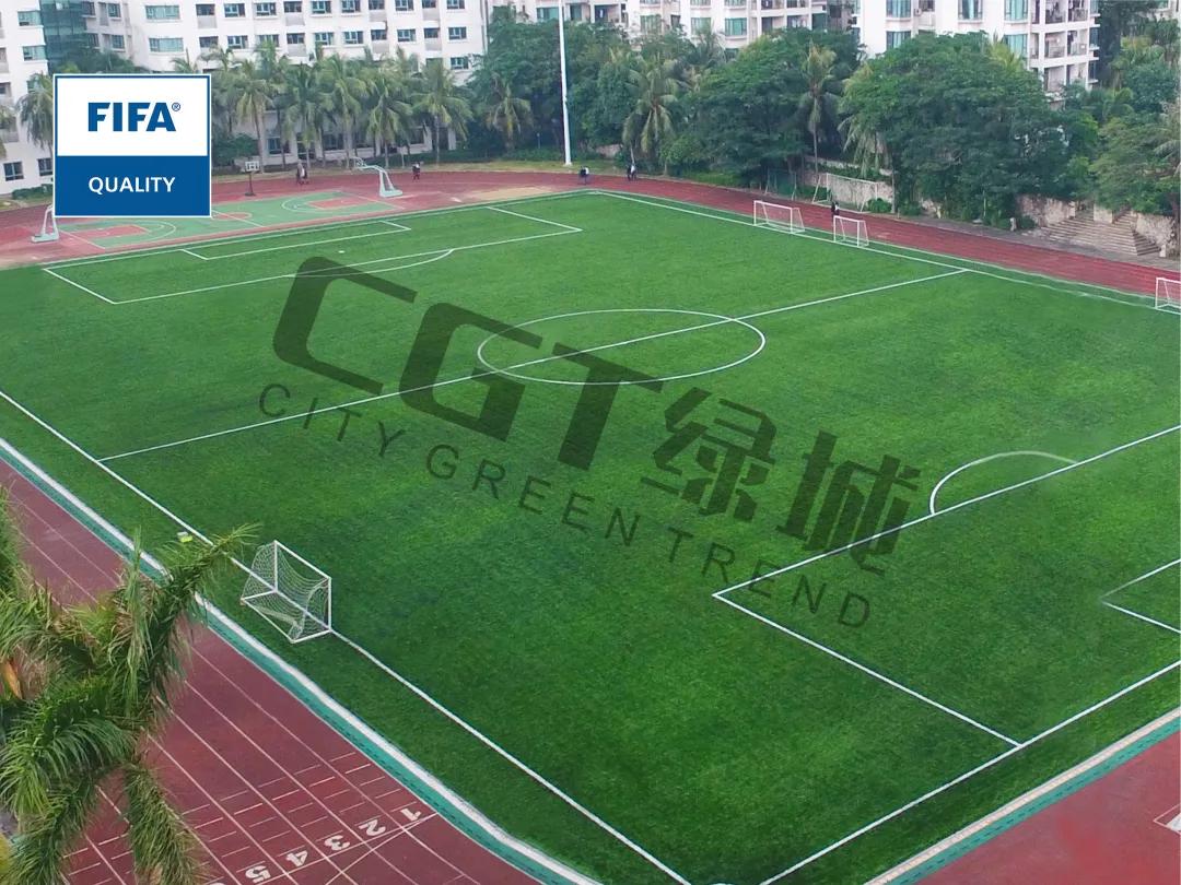 cgt缁垮煄鑻辫秴,cgt缁垮煄浣撹偛浜т笟闆嗗洟