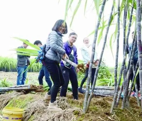 冚倒搣断打撇撇……湖北话常用词汇,您会写吗(第三批)