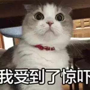 门客生活倒闭怎么维权,花没收到可以退吗