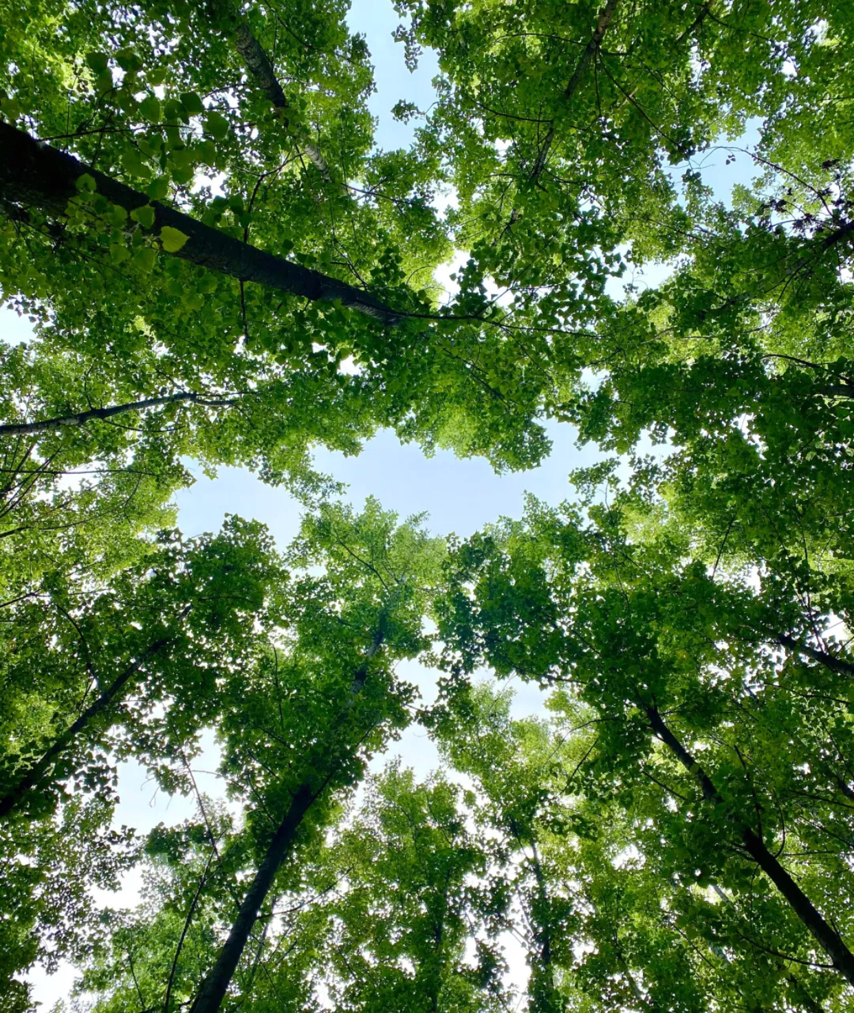 秦岭自带食材烧烤的地方,秦岭附近可以烧烤的地方
