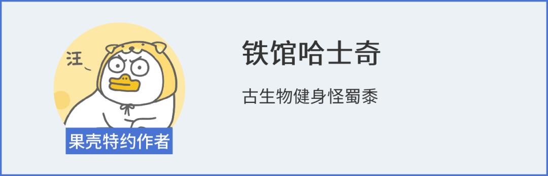 我国发现白垩纪恐龙,中国最先发现的恐龙新物种