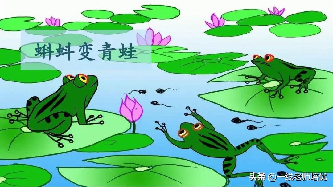 部编版语文第5单元三年级上册,部编版三年级语文上册第三单元