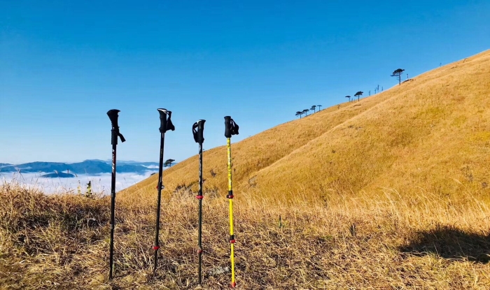 这个户外圣地，火到不需要打广告