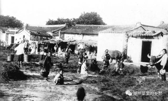 夺走人类生命最多的病毒,夺走上亿国人健康的几大杀手