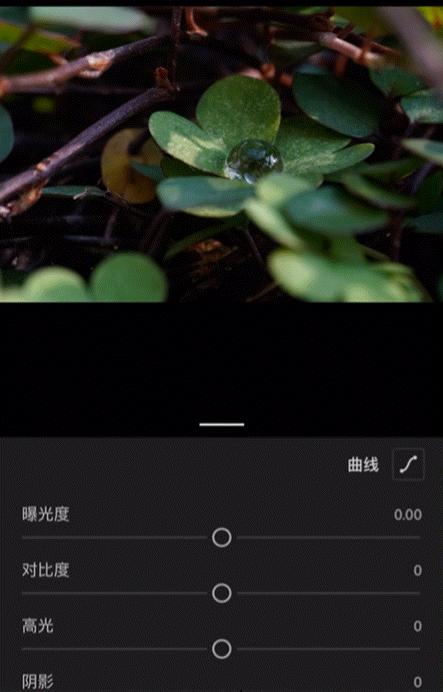 p图好用的手机app,苹果手机常用的app推荐