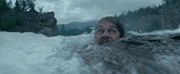 球花追小李子,小李子多有魅力