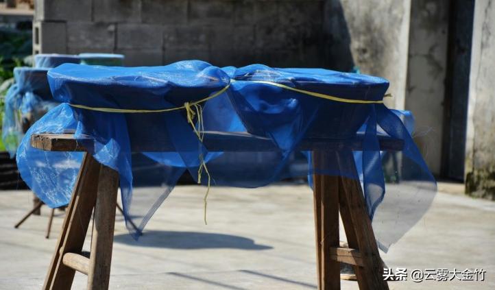 家庭自酿黄豆酱（酱油）-感受食品发酵的神奇