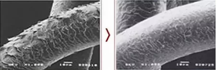 日本蒙琉洗发水,蒙古防掉发洗发水