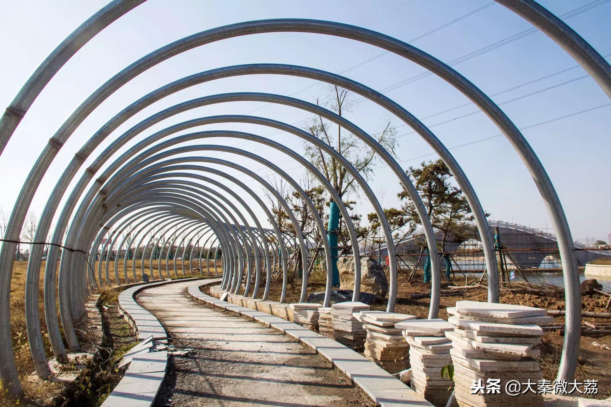 大荔玫瑰湖畅想曲（组图）