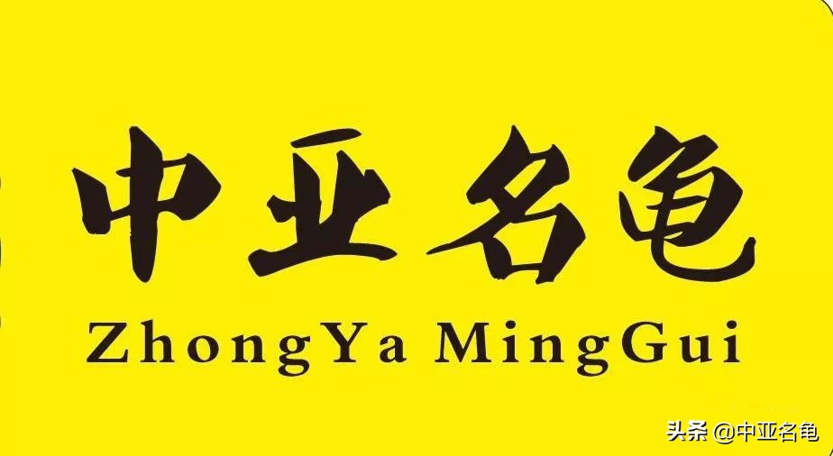 乌龟腐甲怎么治疗,乌龟腐甲病怎么办